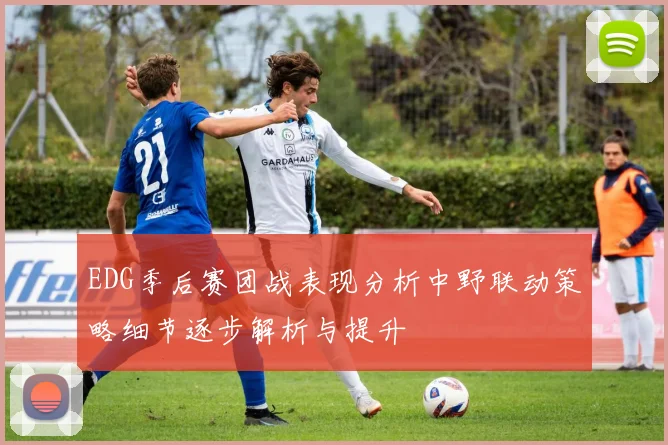 EDG季后赛团战表现分析中野联动策略细节逐步解析与提升