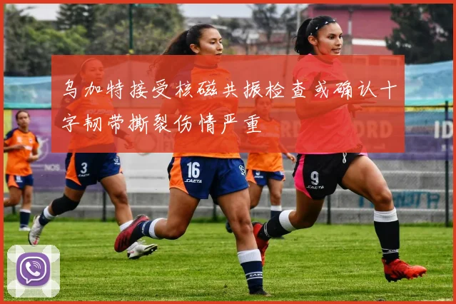 乌加特接受核磁共振检查或确认十字韧带撕裂伤情严重